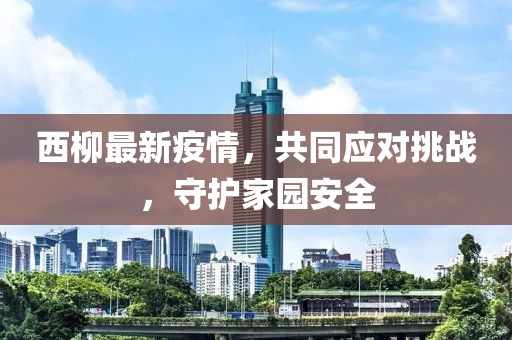 西柳最新疫情，共同应对挑战，守护家园安全