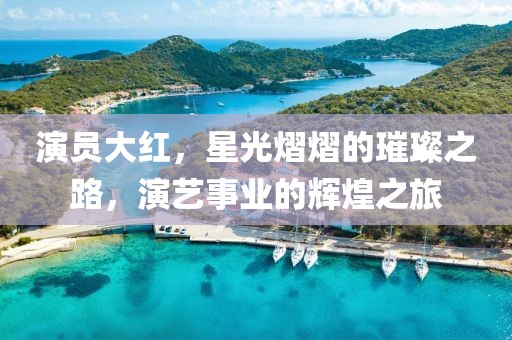 演员大红，星光熠熠的璀璨之路，演艺事业的辉煌之旅