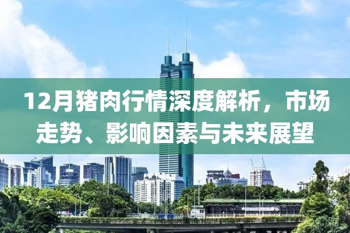 12月猪肉行情深度解析，市场走势、影响因素与未来展望