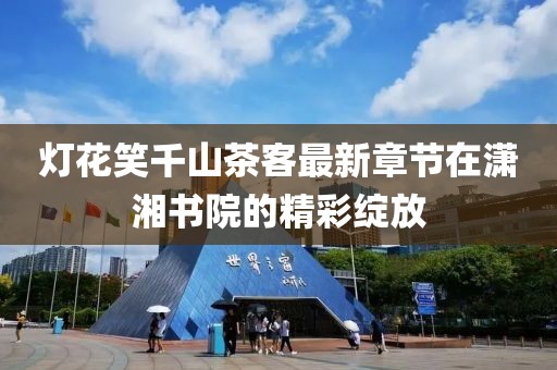 灯花笑千山茶客最新章节在潇湘书院的精彩绽放