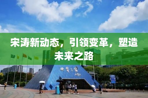 宋涛新动态，引领变革，塑造未来之路