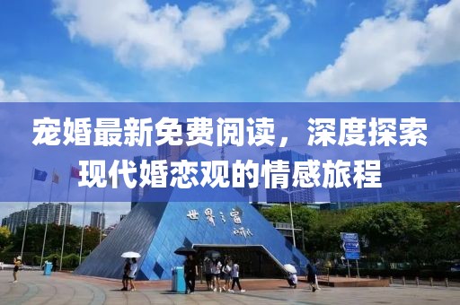 宠婚最新免费阅读，深度探索现代婚恋观的情感旅程