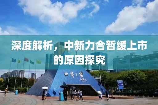 深度解析，中新力合暂缓上市的原因探究
