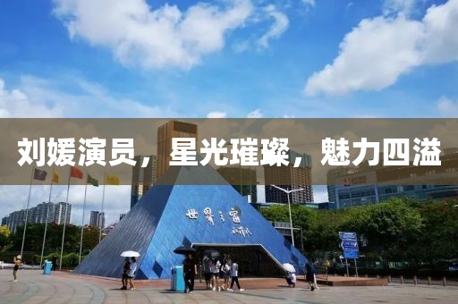 刘媛演员，星光璀璨，魅力四溢