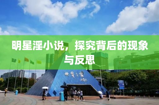 明星淫小说，探究背后的现象与反思
