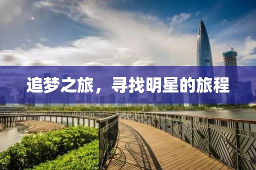 追梦之旅，寻找明星的旅程