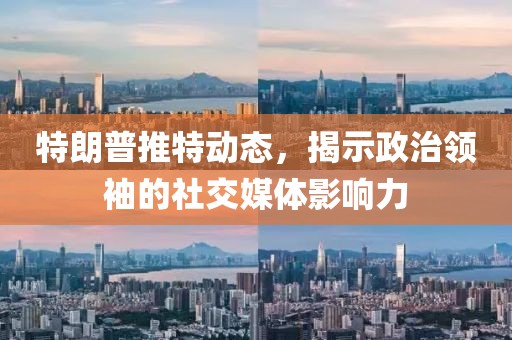 特朗普推特动态，揭示政治领袖的社交媒体影响力
