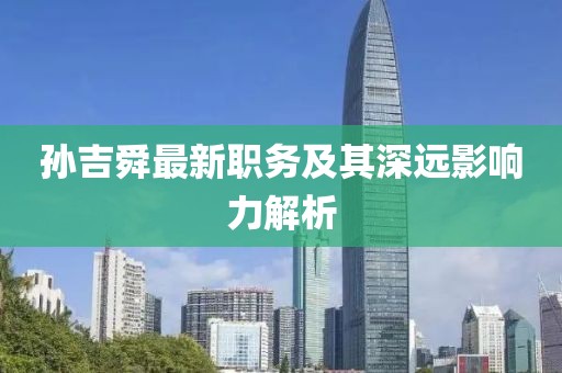 孙吉舜最新职务及其深远影响力解析