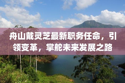舟山戴灵芝最新职务任命，引领变革，掌舵未来发展之路