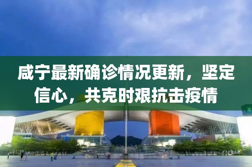 咸宁最新确诊情况更新，坚定信心，共克时艰抗击疫情