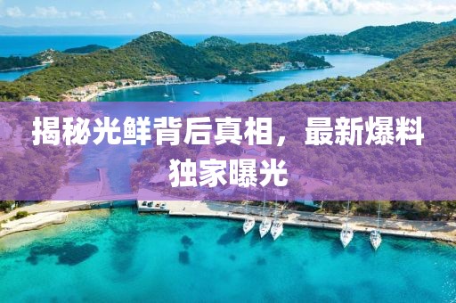 揭秘光鲜背后真相，最新爆料独家曝光
