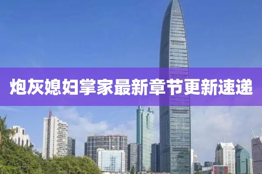 炮灰媳妇掌家最新章节更新速递