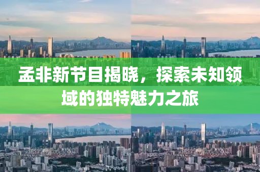 孟非新节目揭晓，探索未知领域的独特魅力之旅