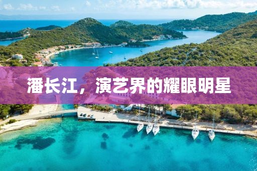 潘长江，演艺界的耀眼明星