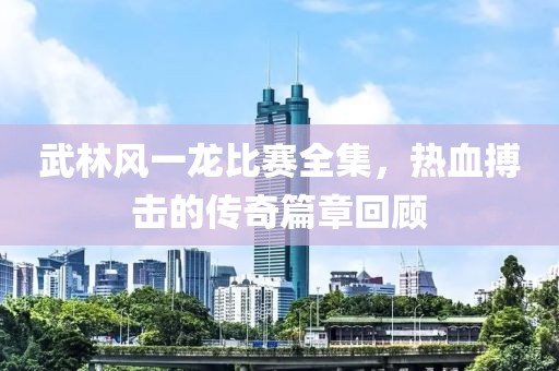 武林风一龙比赛全集，热血搏击的传奇篇章回顾