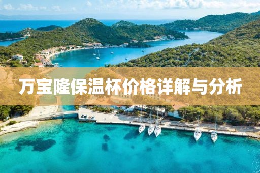 万宝隆保温杯价格详解与分析
