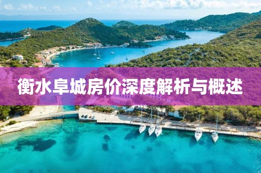 衡水阜城房价深度解析与概述