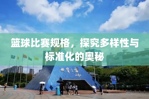 篮球比赛规格，探究多样性与标准化的奥秘