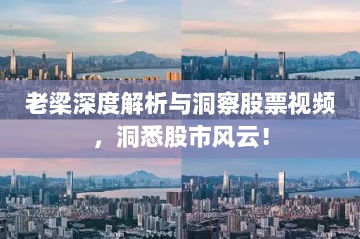 南极星老奶奶 第2页