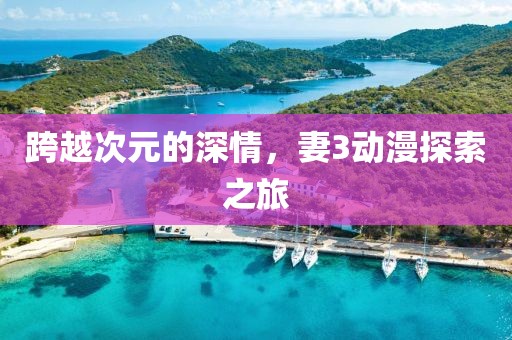 跨越次元的深情，妻3动漫探索之旅