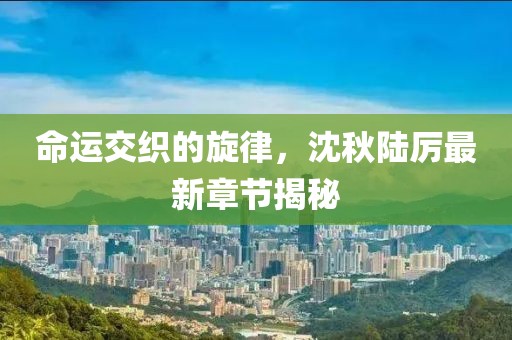 命运交织的旋律，沈秋陆厉最新章节揭秘