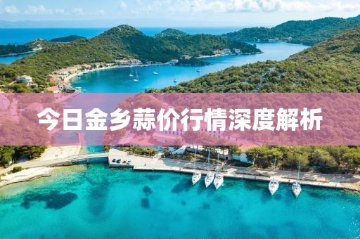今日金乡蒜价行情深度解析