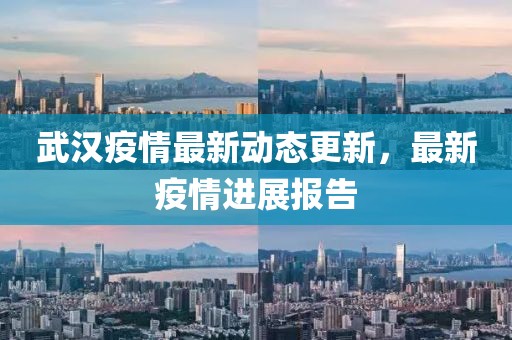 武汉疫情最新动态更新，最新疫情进展报告
