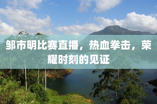 邹市明比赛直播，热血拳击，荣耀时刻的见证