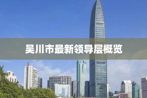 吴川市最新领导层概览