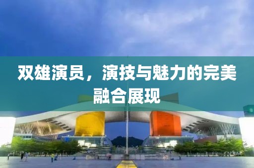 双雄演员，演技与魅力的完美融合展现