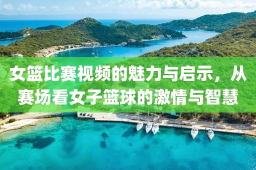 女篮比赛视频的魅力与启示，从赛场看女子篮球的激情与智慧
