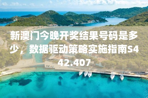 新澳门今晚开奖结果号码是多少，数据驱动策略实施指南S442.407