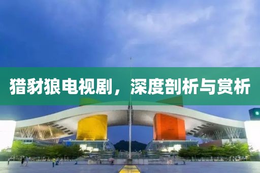 猎豺狼电视剧，深度剖析与赏析