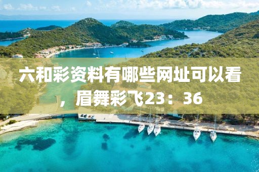 六和彩资料有哪些网址可以看，眉舞彩飞23：36