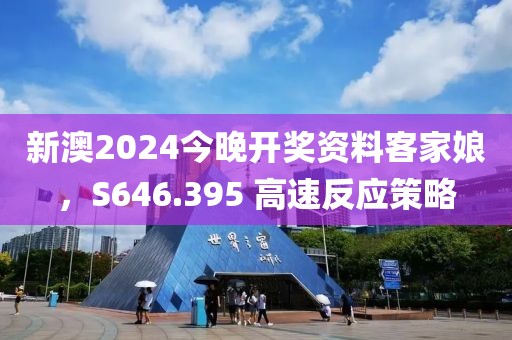 新澳2024今晚开奖资料客家娘，S646.395 高速反应策略