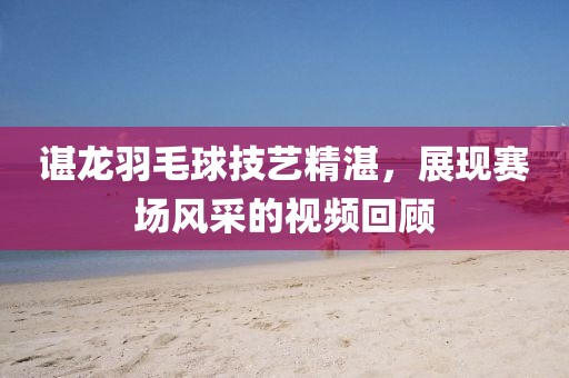 谌龙羽毛球技艺精湛，展现赛场风采的视频回顾