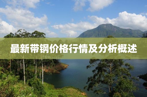 最新带钢价格行情及分析概述