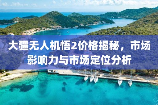 大疆无人机悟2价格揭秘，市场影响力与市场定位分析