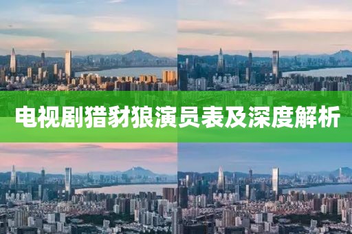 电视剧猎豺狼演员表及深度解析