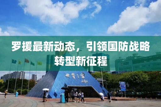 罗援最新动态，引领国防战略转型新征程