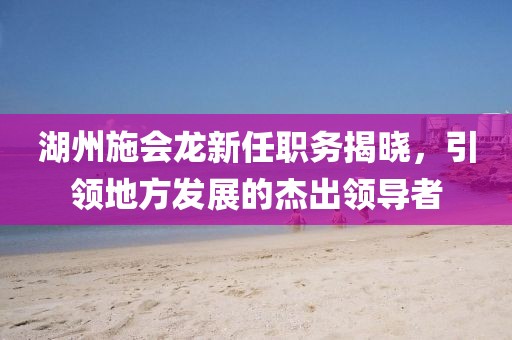 湖州施会龙新任职务揭晓，引领地方发展的杰出领导者