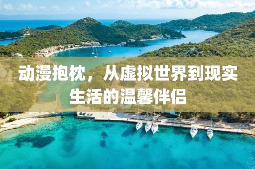 动漫抱枕，从虚拟世界到现实生活的温馨伴侣