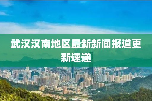 武汉汉南地区最新新闻报道更新速递