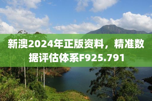 新澳2024年正版资料，精准数据评估体系F925.791