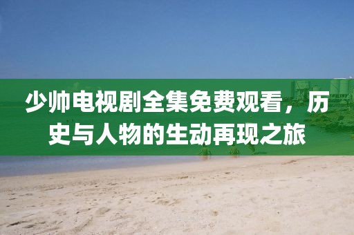 少帅电视剧全集免费观看，历史与人物的生动再现之旅