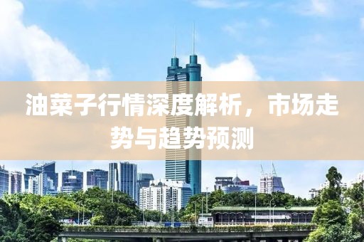 油菜子行情深度解析，市场走势与趋势预测