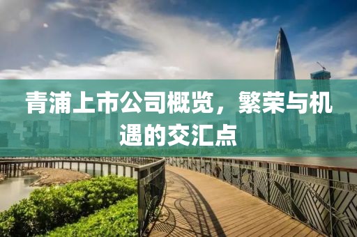 青浦上市公司概览，繁荣与机遇的交汇点