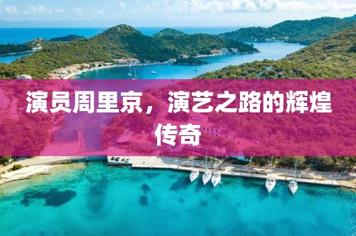 演员周里京，演艺之路的辉煌传奇