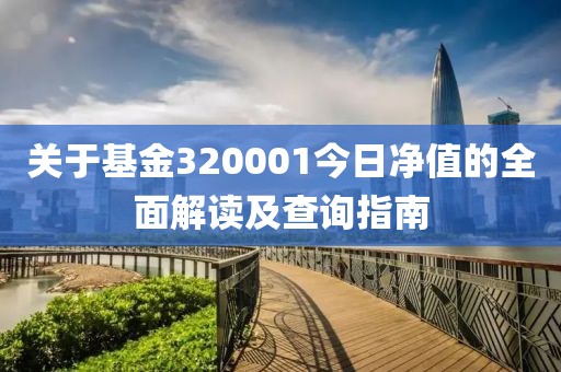 关于基金320001今日净值的全面解读及查询指南