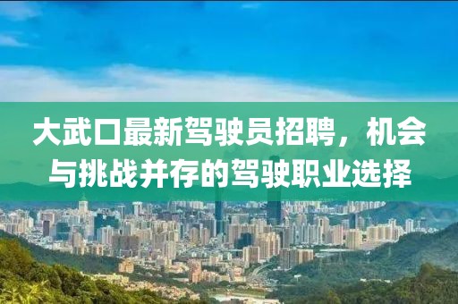 大武口最新驾驶员招聘，机会与挑战并存的驾驶职业选择